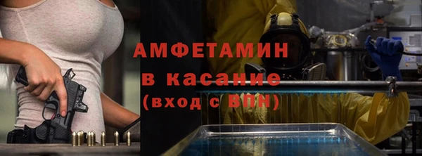 шишки Алексин