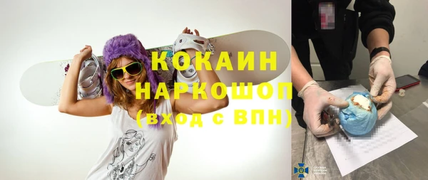 шишки Алексин