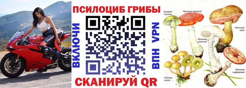 купить  сайты  omg сайт  Галлюциногенные грибы MAGIC MUSHROOMS  Сельцо 